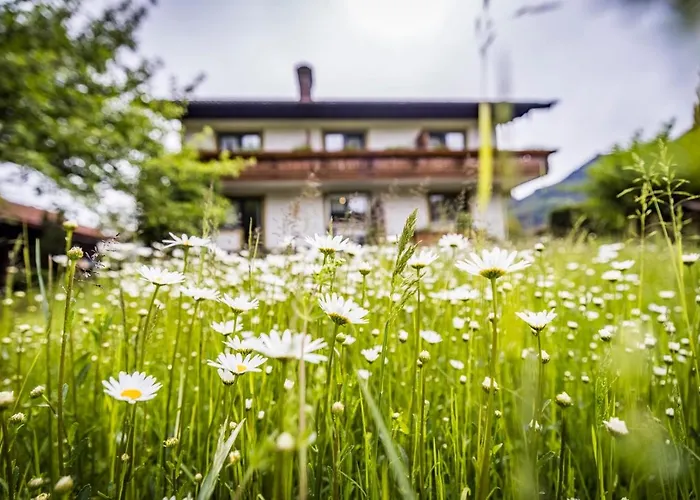 Weiss Pensionat Bad Reichenhall